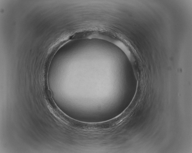 X0000083620677200703051610