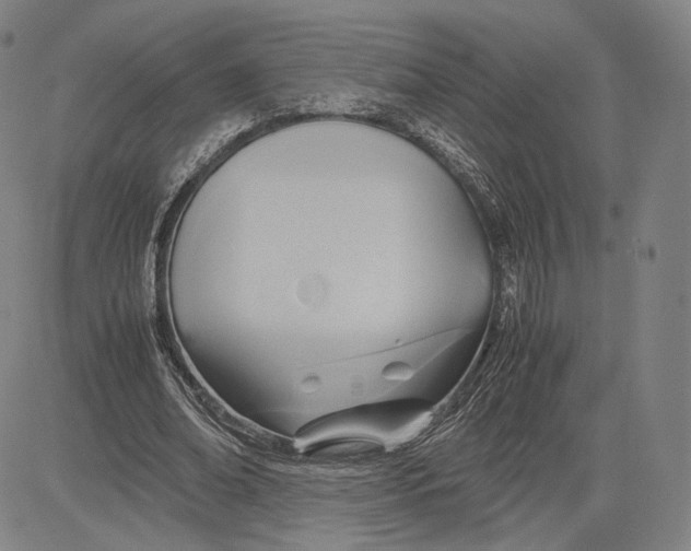 X0000083620678200703051610