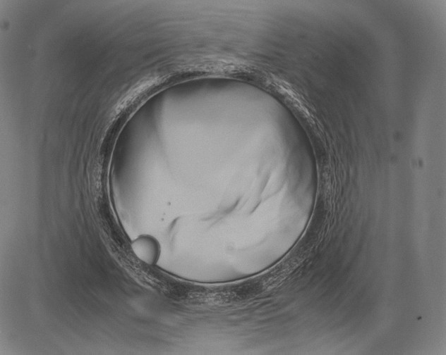 X0000083620679200703051610