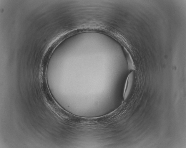 X0000083620680200703051610