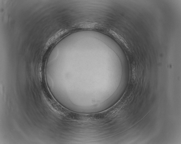 X0000083620682200703051610