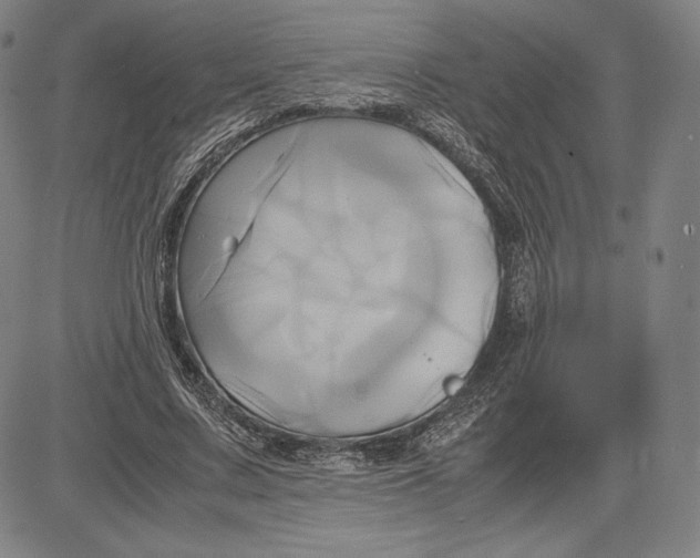 X0000083620683200703051610