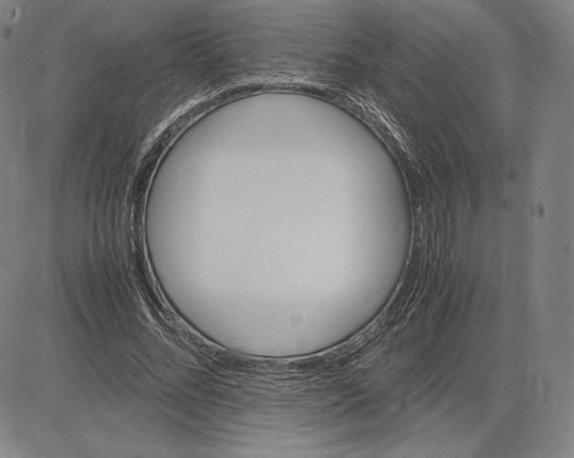 X0000083620684200703051610