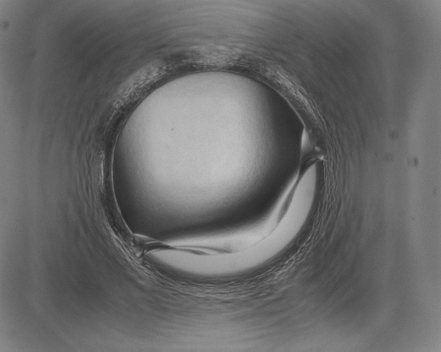 X0000083620685200703051610