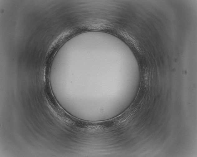 X0000083620686200703051610