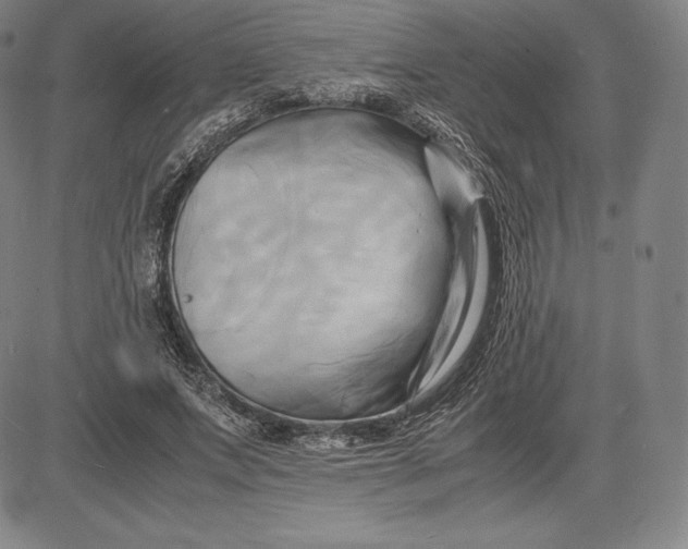 X0000083620687200703051610