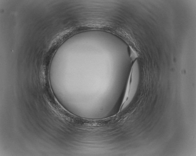 X0000083620688200703051610