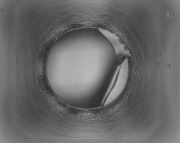 X0000083620689200703051610