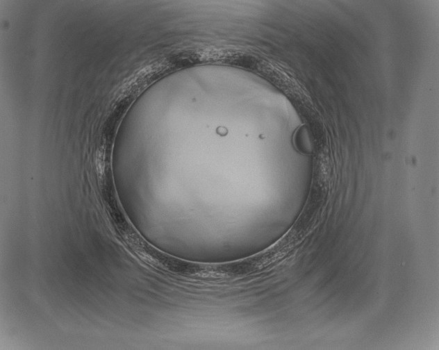 X0000083620691200703051610