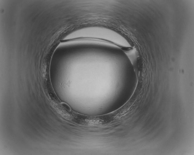 X0000083620693200703051610