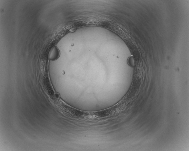 X0000083620695200703051610