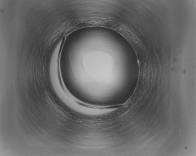 X0000083620696200703051609