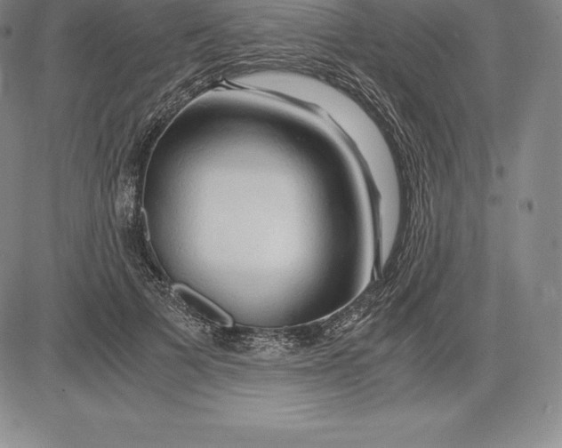 X0000083620697200703051609