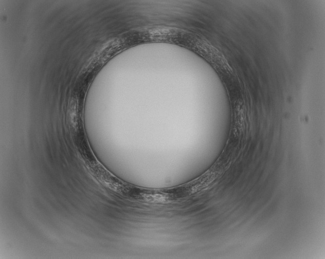 X0000083620698200703051609