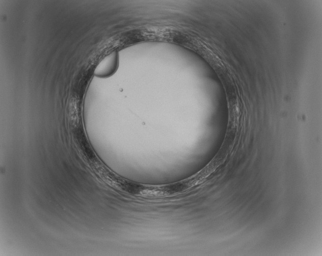 X0000083620699200703051609