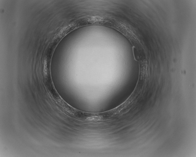 X0000083620700200703051609