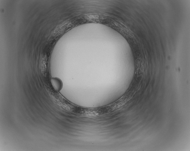 X0000083620702200703051609