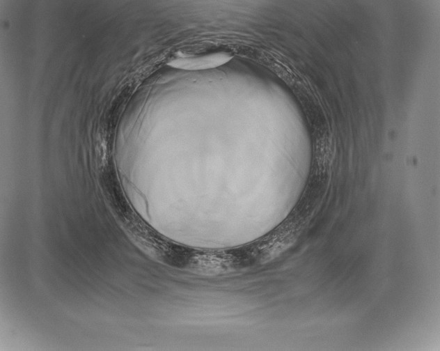 X0000083620703200703051609