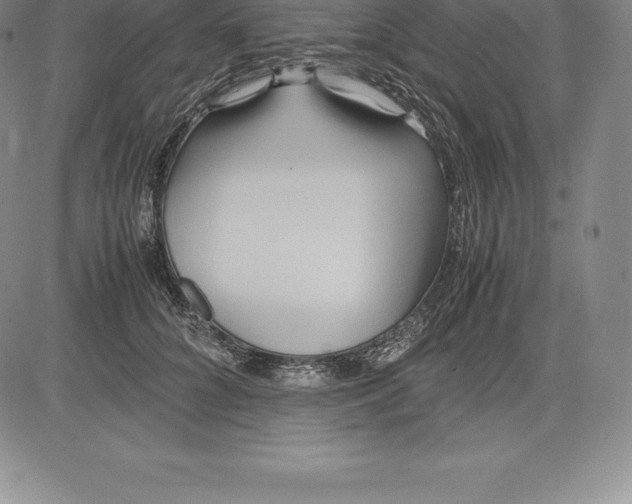 X0000083620704200703051609