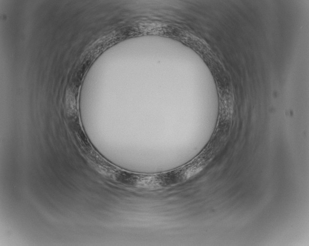 X0000083620705200703051609