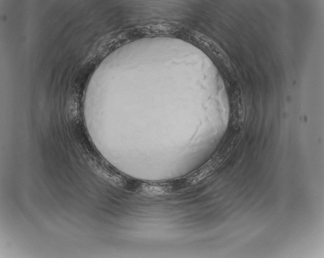 X0000083620706200703051609