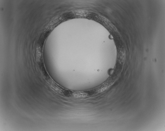 X0000083620707200703051609