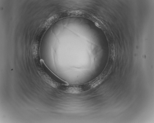 X0000083620708200703051609