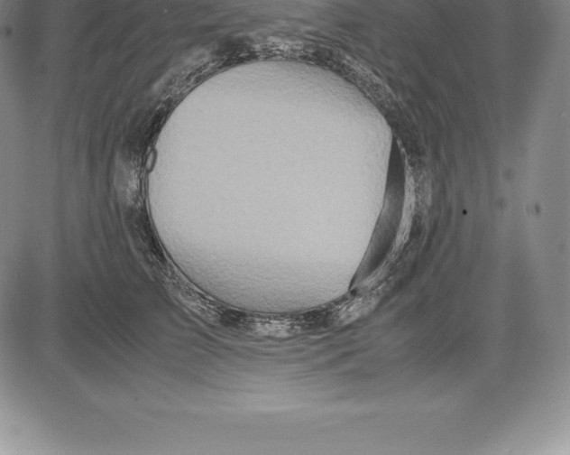 X0000083620709200703051609