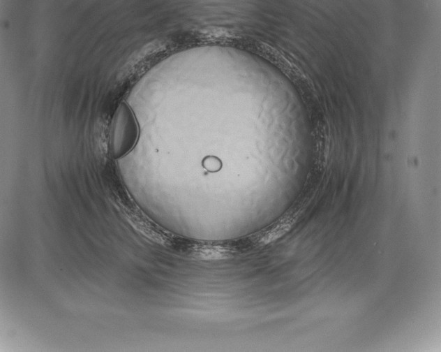 X0000083620710200703051609