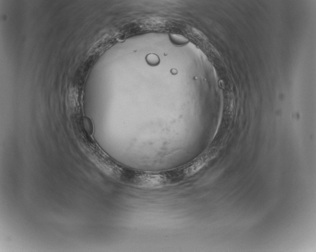 X0000083620711200703051609