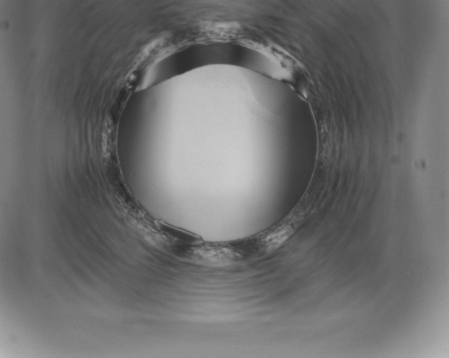 X0000083620712200703051609