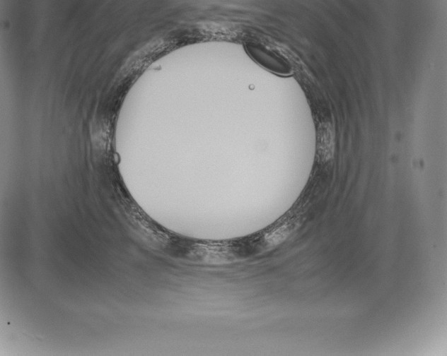 X0000083620713200703051609