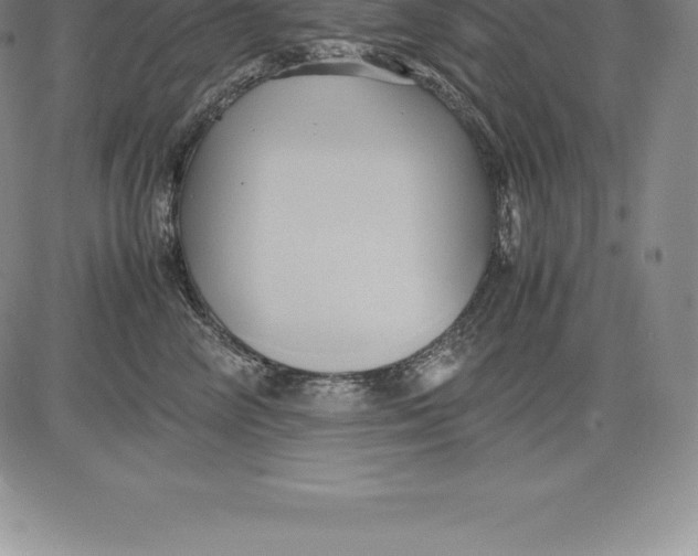 X0000083620714200703051609