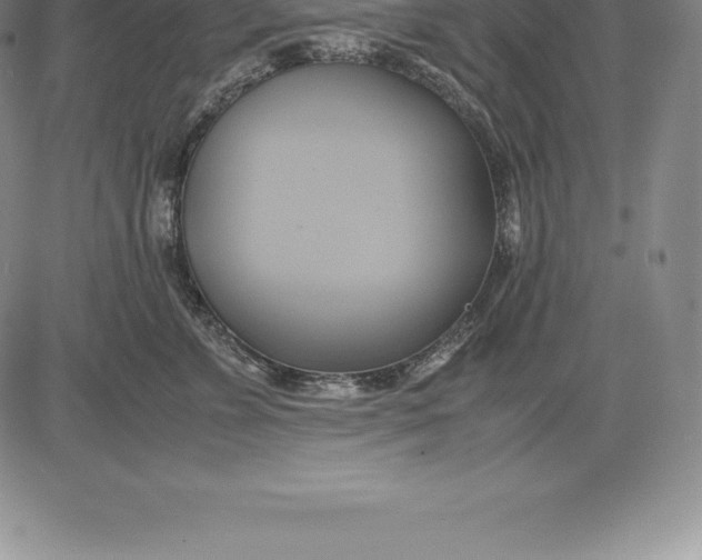 X0000083620715200703051609