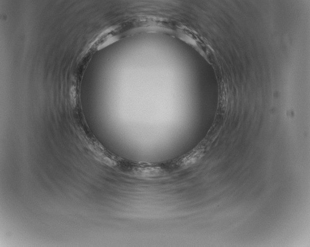 X0000083620716200703051609