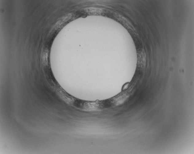 X0000083620717200703051609