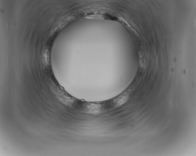 X0000083620718200703051609