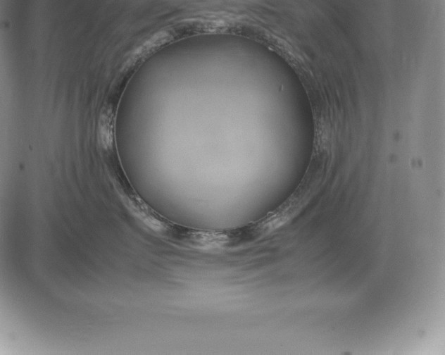 X0000083620719200703051609