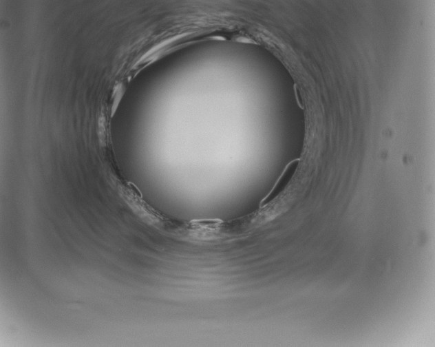 X0000083620720200703051609