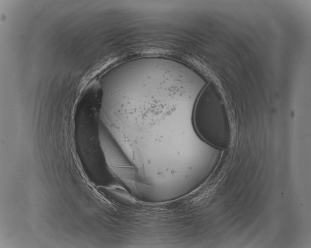 X0000083620721200703051608