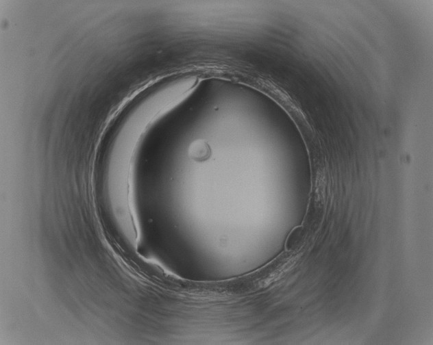 X0000083620722200703051608