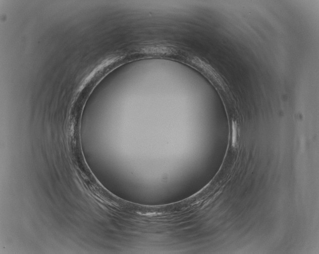 X0000083620723200703051608