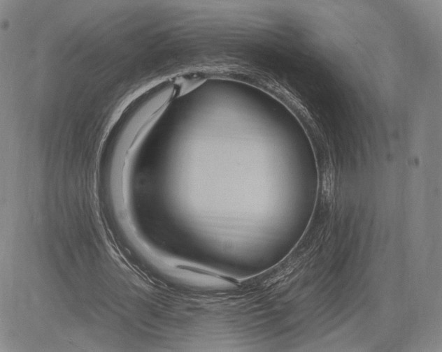 X0000083620724200703051608