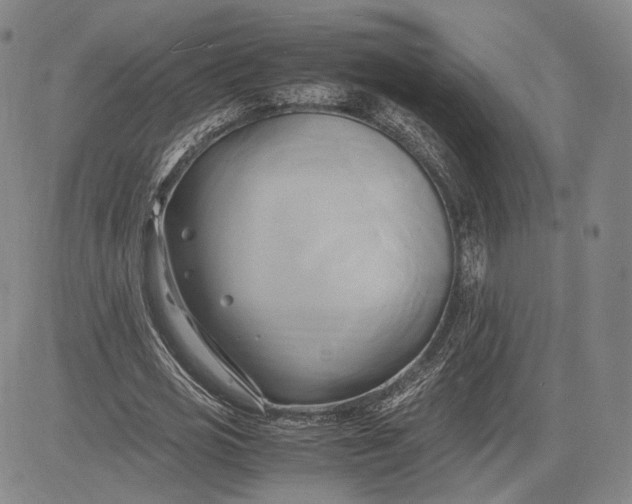 X0000083620725200703051608