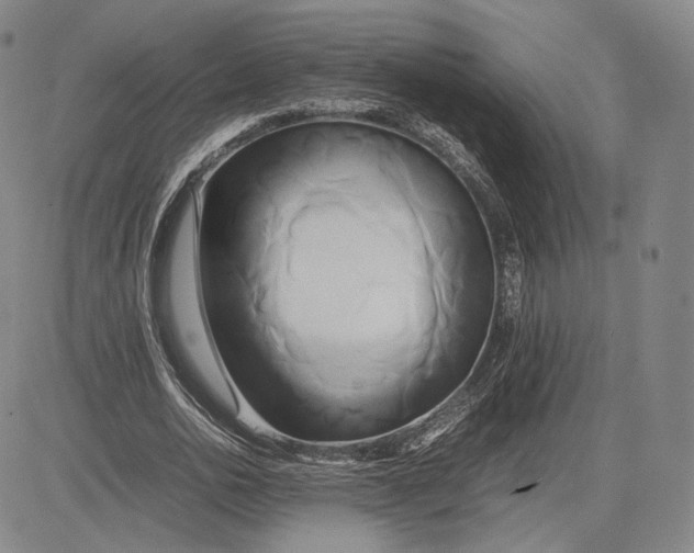 X0000083620726200703051608