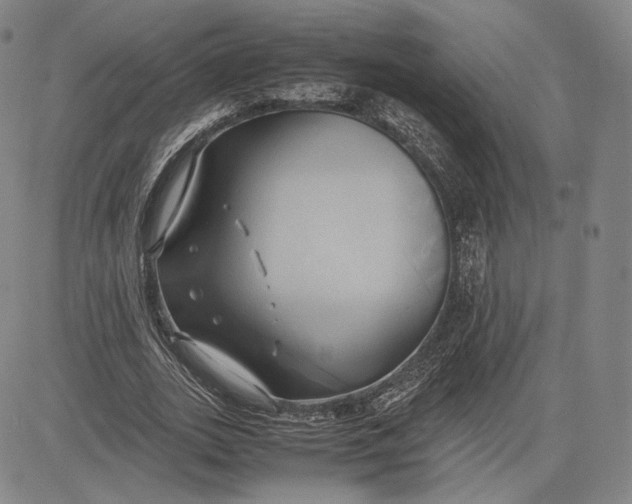 X0000083620727200703051608