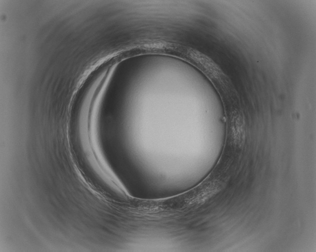 X0000083620728200703051608