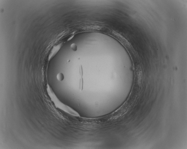 X0000083620729200703051608