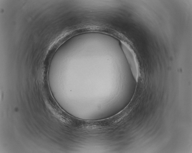 X0000083620730200703051608