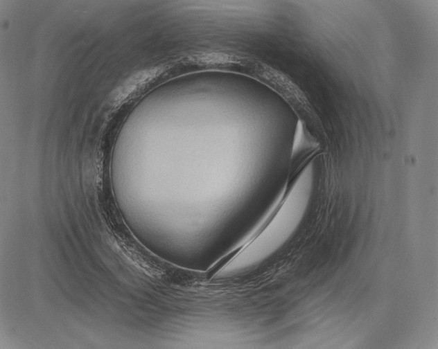 X0000083620732200703051608